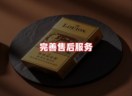 专业团队